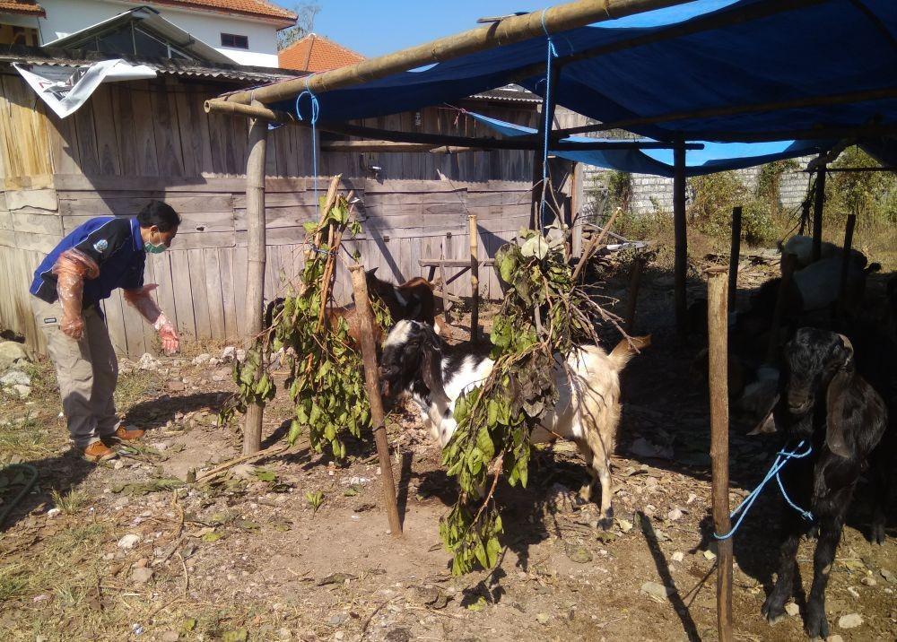 Jelang Hari Raya Kurban, Pembuat Arang dan besek Banjir Pesanan