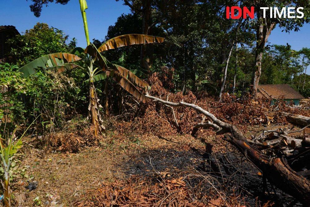Blackout Akibat Ledakan, Warga: Menakutkan, Seperti Ada Pesawat Jatuh