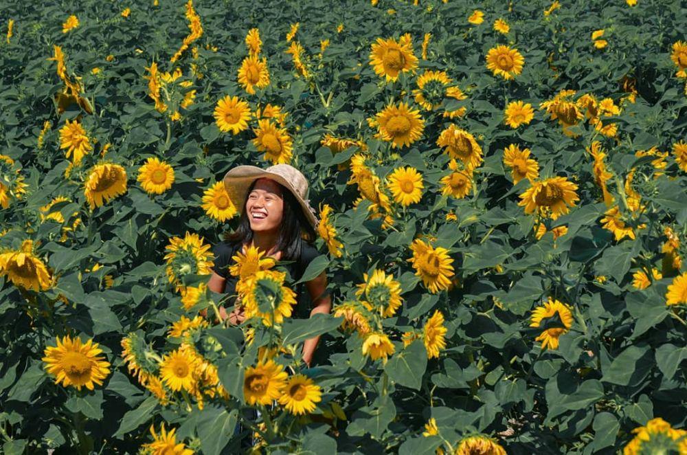 Bikin Gak Mau Pulang! 9 Potret Cantiknya Jiwan's Garden di Kupang, NTT