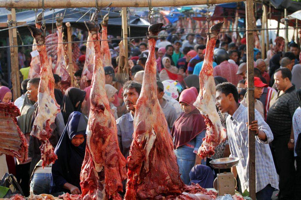 acehpressphoto.com