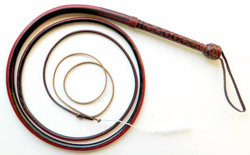 northernwhipco.com