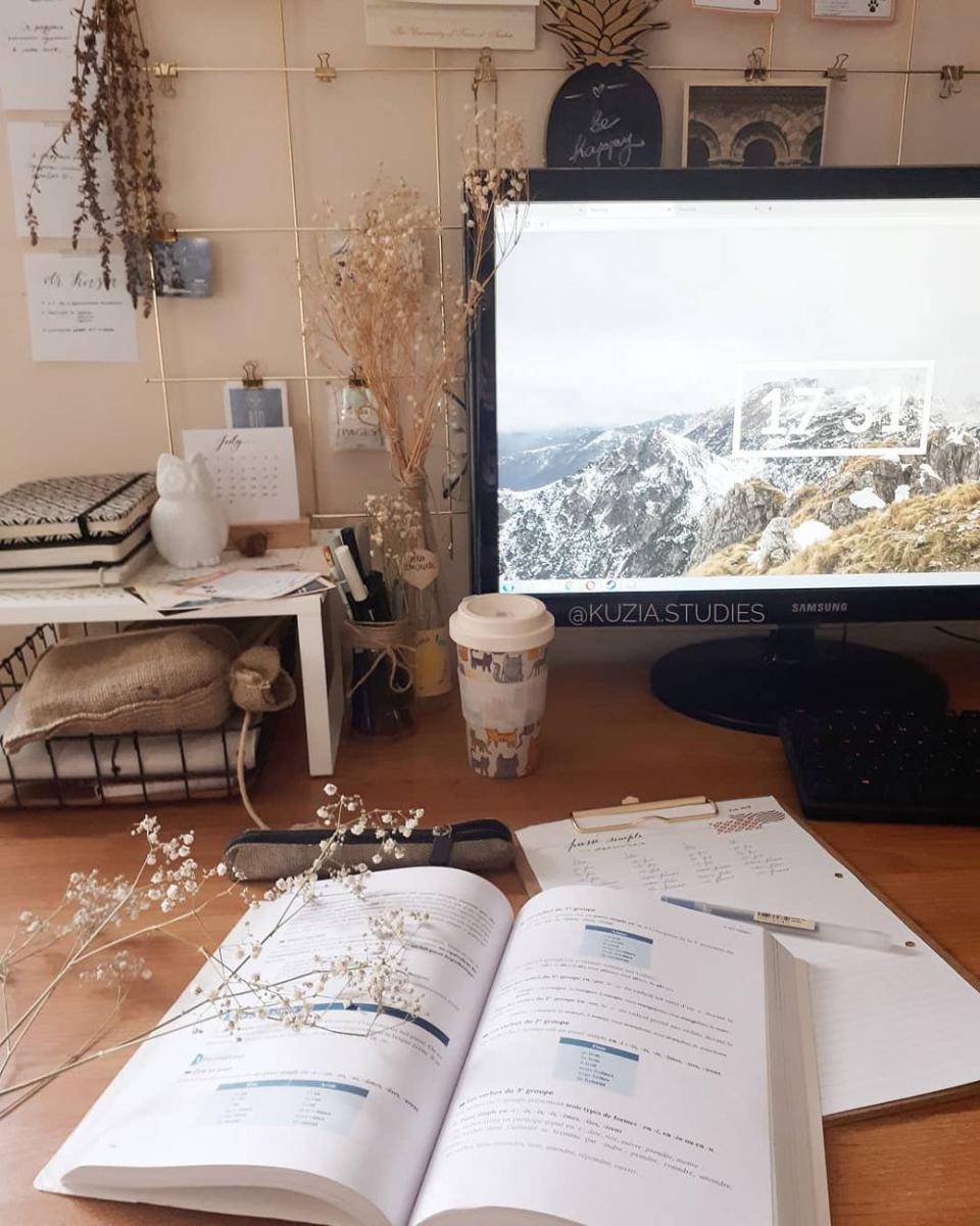 instagram.com/kuzia.studies