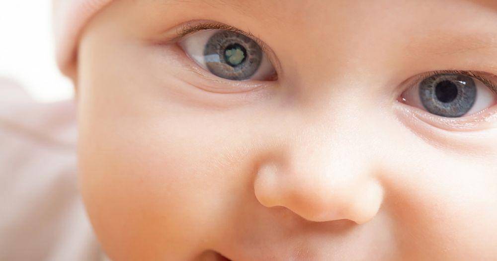 allaboutvision.com