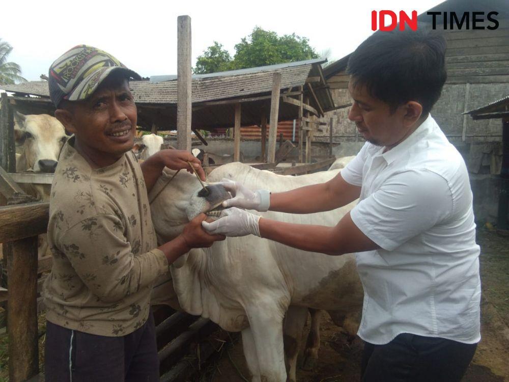 Pusat Kuliner Kambing, Pemkab Bantul Awasi Lalin Ternak Cegah Antraks