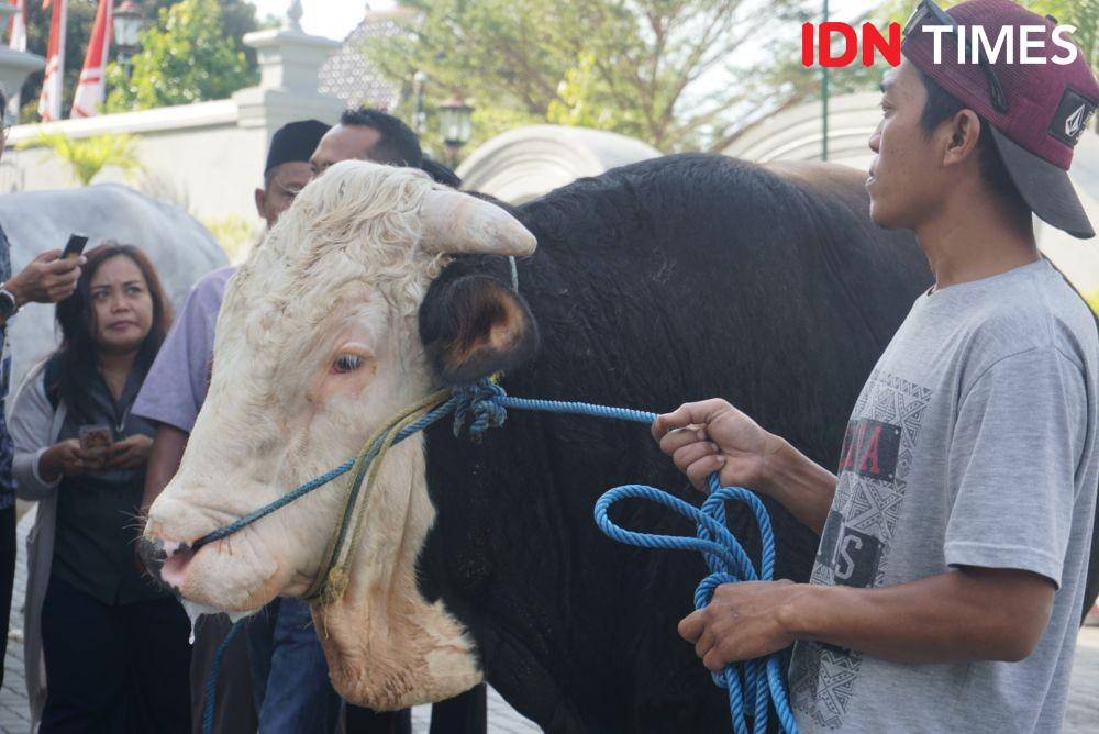 IDN Times/Tunggul Kumoro