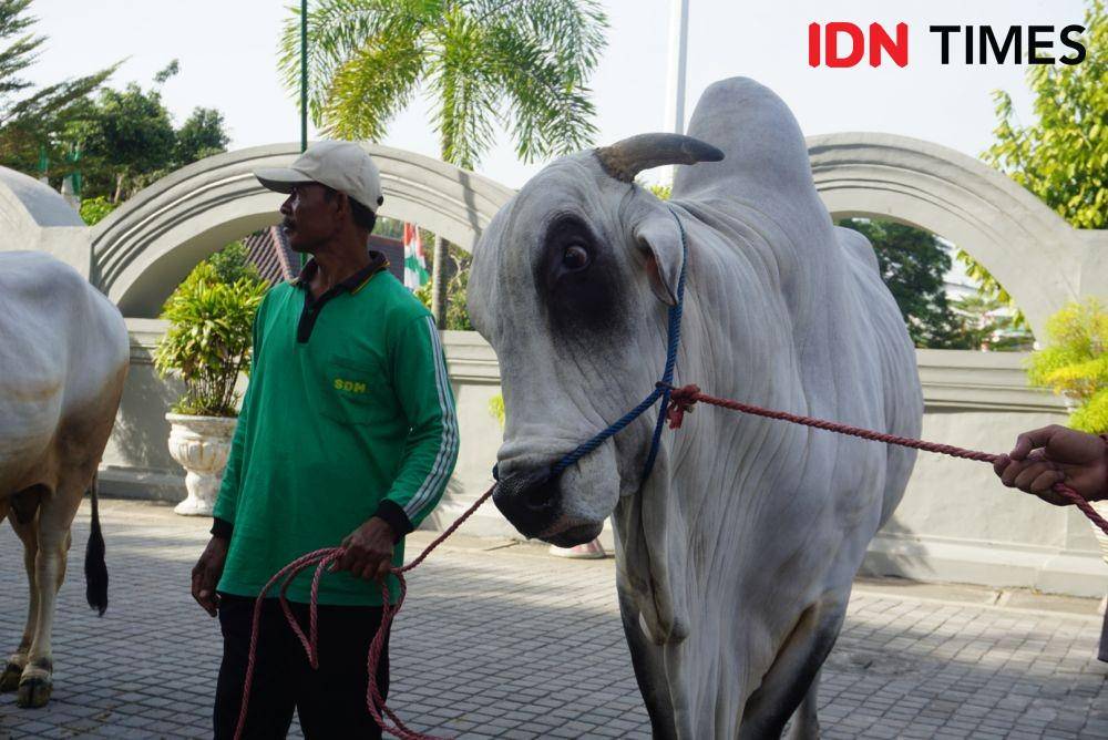 IDN Times/Tunggul Kumoro
