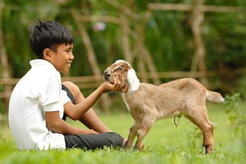 samaritanmag.com