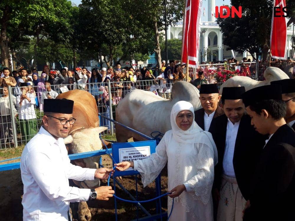 IDN Times/Fitria Madia