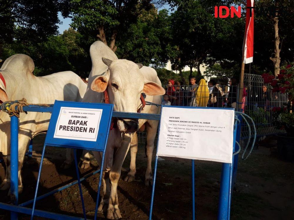 Begini Cara Masjid Al Akbar Surabaya Olah Limbah Kurban Jadi Kompos