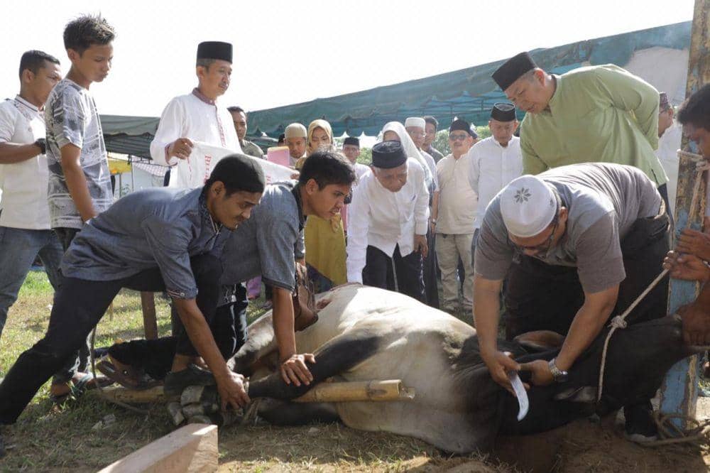 Hampir 8 Ribu KK di Asahan Terima Paket Daging Kurban dari Pemkab