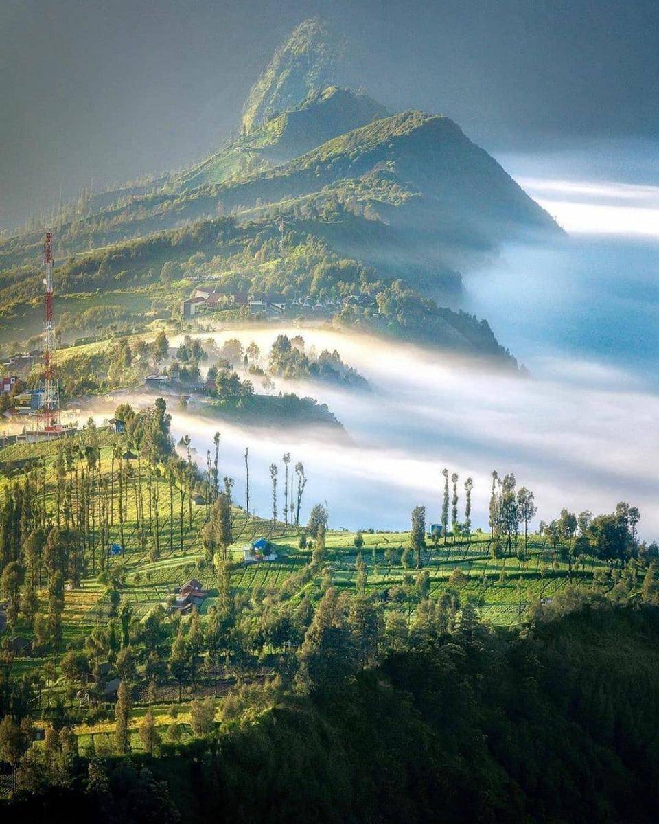 Instagram.com/ bahterazar