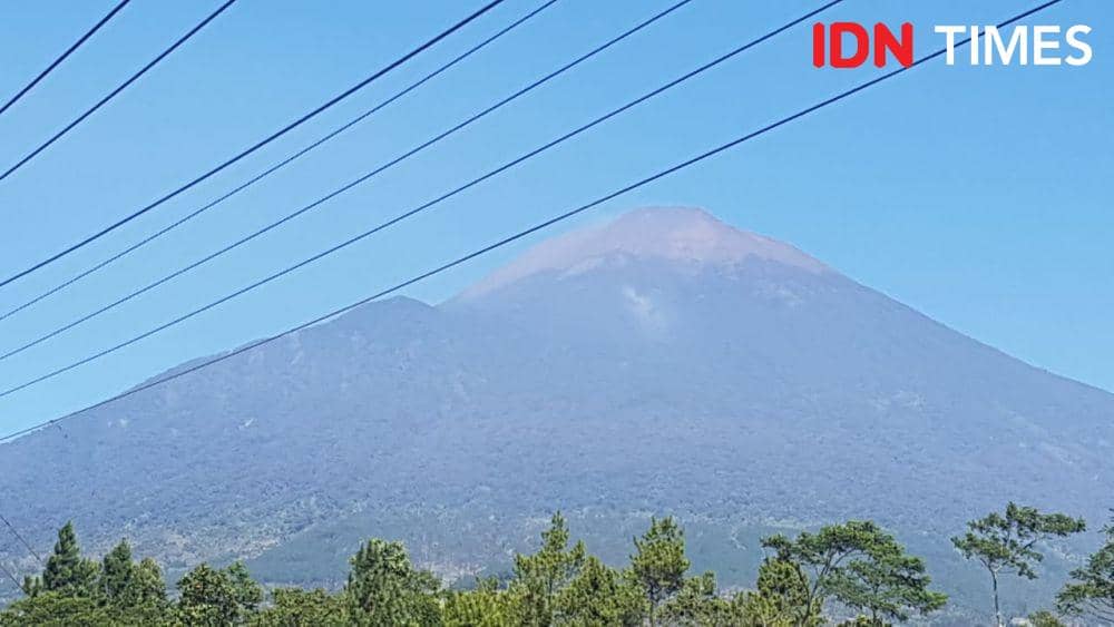 IDN Times/Istimewa