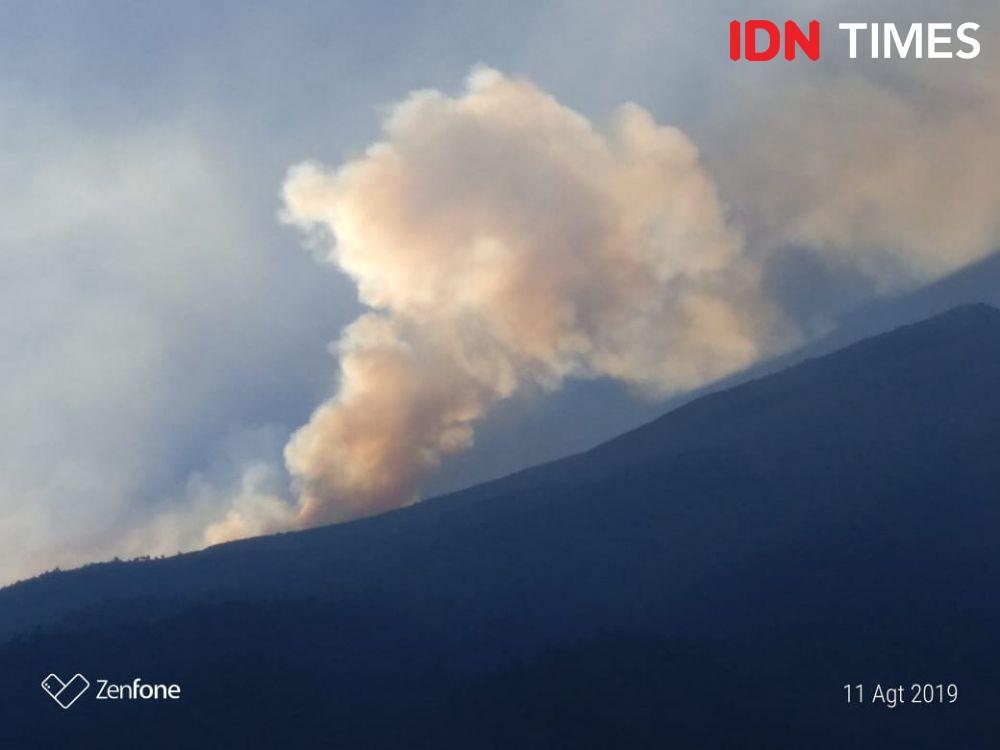 Kebakaran Hutan di Gunung Slamet Meluas, 5 Titik Api di Selatan-Barat