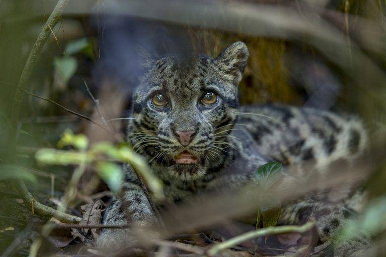 stickyricetravel.com