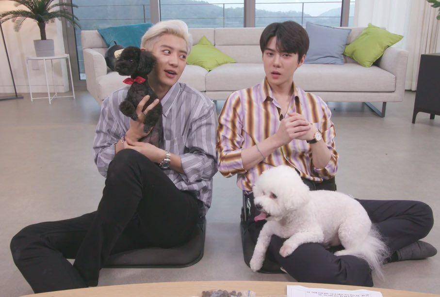 pann.nate.com