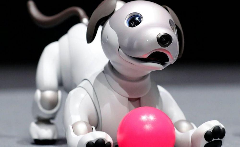 Sony Aibo, Sensasi Memelihara Robot Berbentuk Anjing yang Gemas Banget