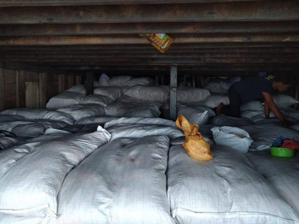 Dok.IDN Times/Istimewa