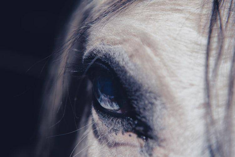 unsplash/Jez Timms