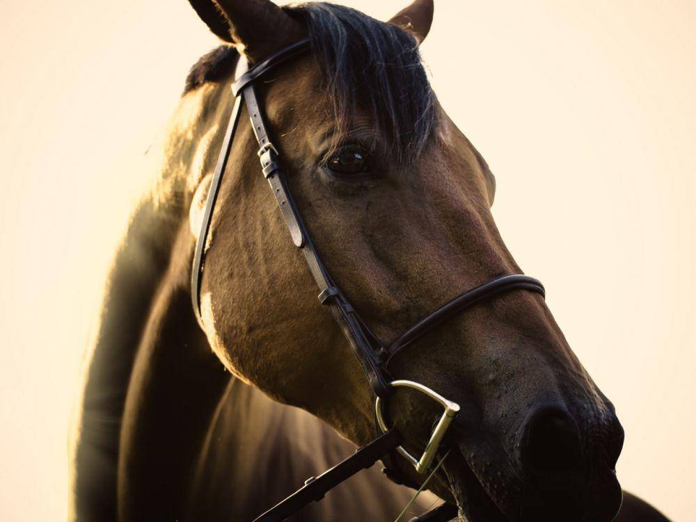 unsplash/Danny Gallegos