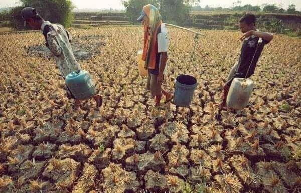 Alami Kekeringan, Puluhan Juta Jiwa Terancam Berbagai Bencana