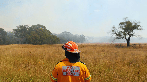 twitter.com/100dailynews1