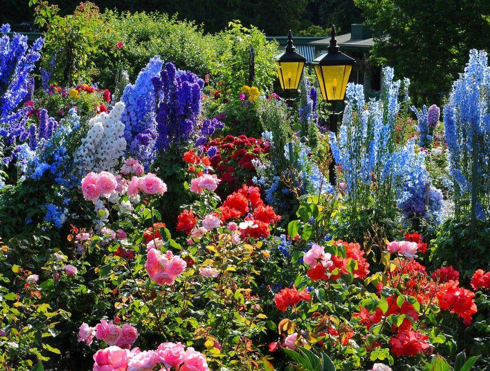 butchartgardens.com