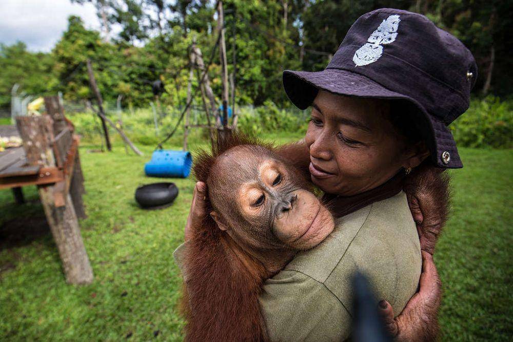 greenpeace.org
