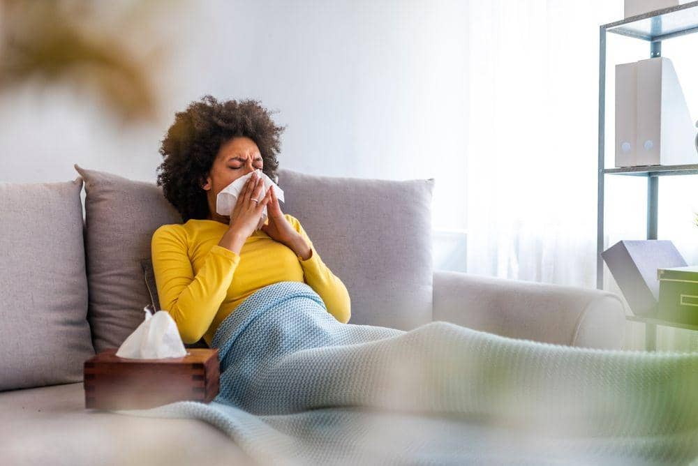 shutterstock.com/draganagordic