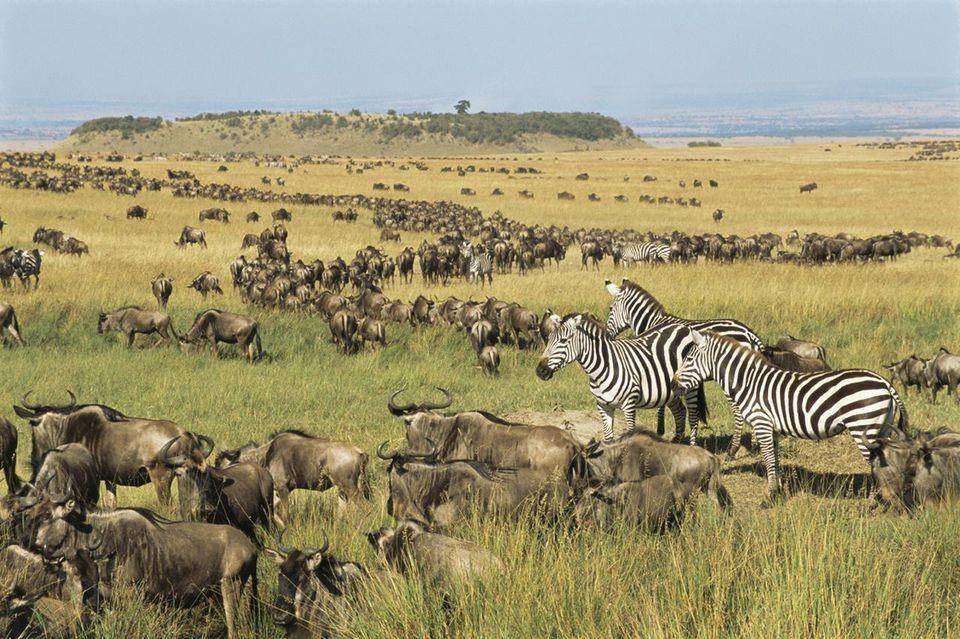 tripsavvy.com