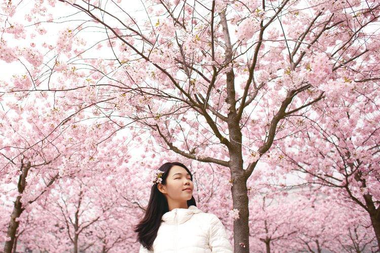 Langsing dan Awet Muda, 6 Kebiasaan Ini Jadi Rahasia Wanita Jepang