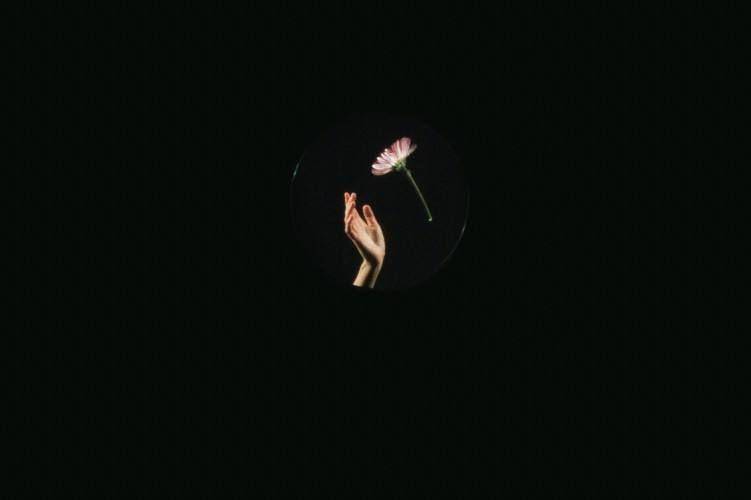 Unsplash.com/Rostovskaya