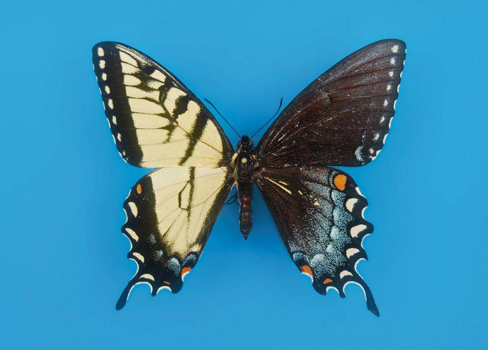 nationalgeographic.com