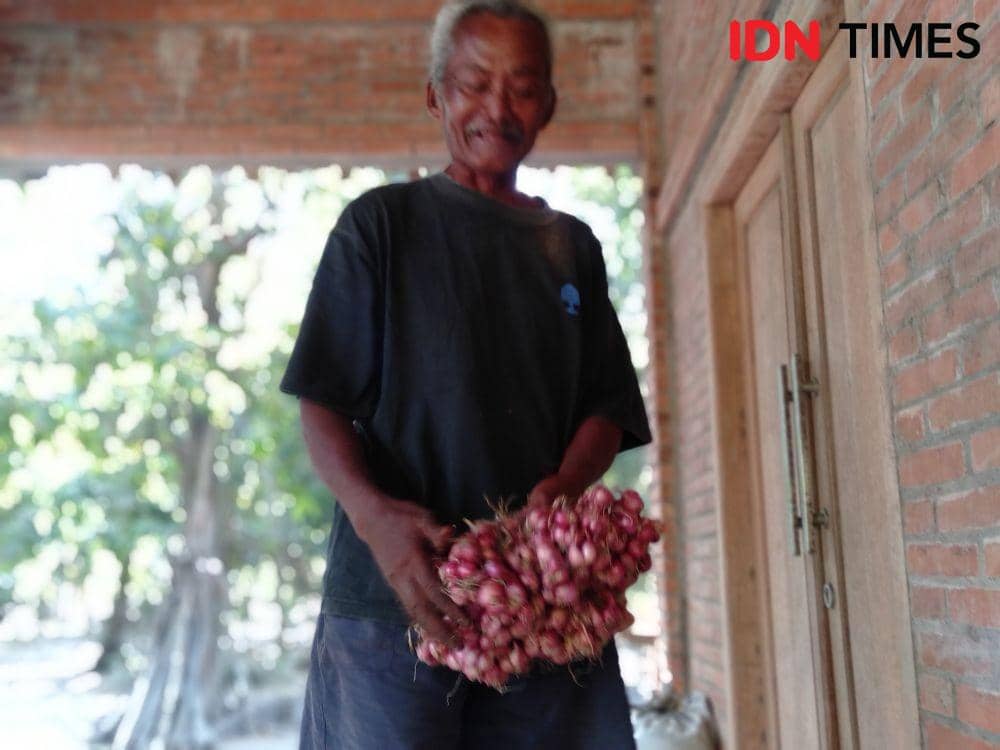 Ilustrasi petani bawang merah di Bantul. IDN Times/Daruwaskita
