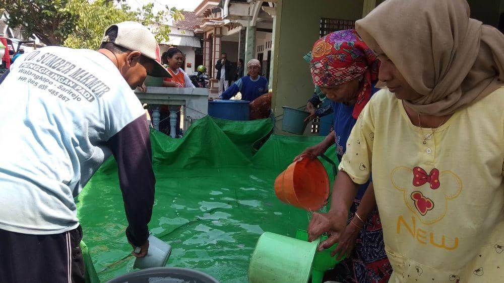 72 Desa di Lamongan Terdampak Kekeringan, Terbanyak Kecamatan Sugio