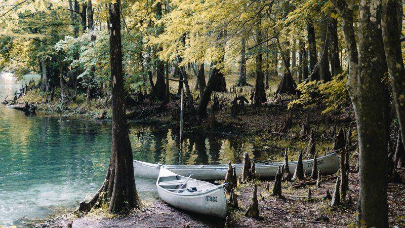 Ginnie Springs, Florida, Amerika Serikat. unsplash.com/Maverick Ocean