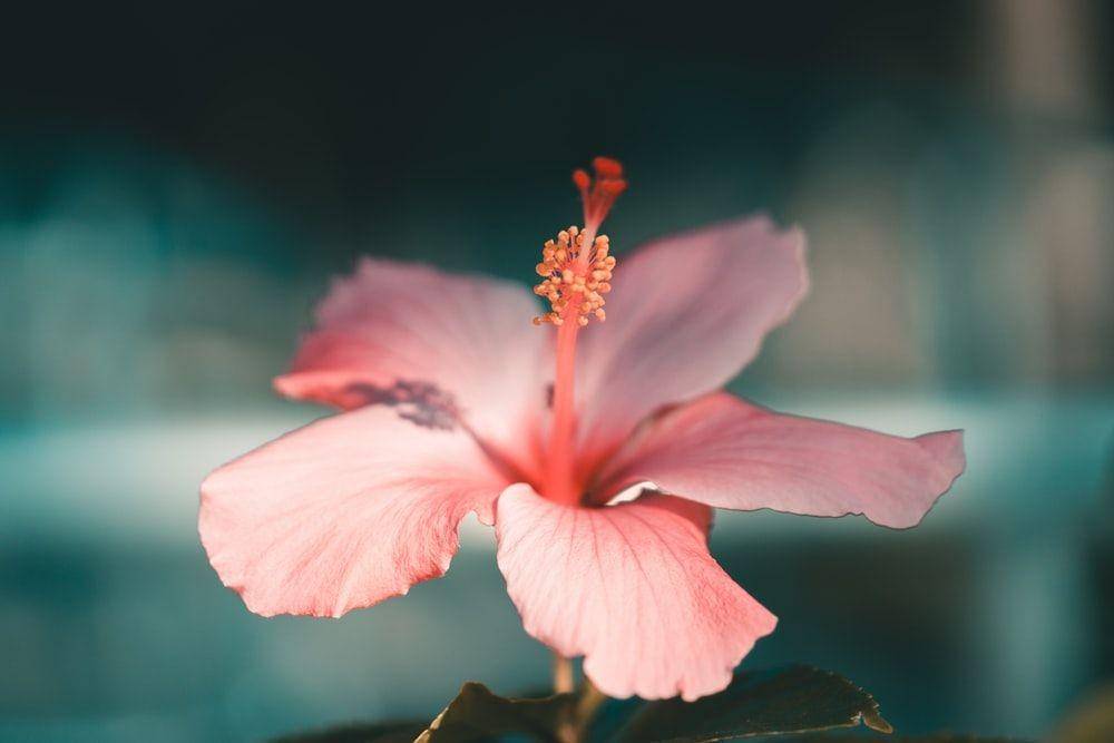 unsplash.com