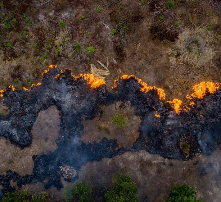 wwf.org.uk