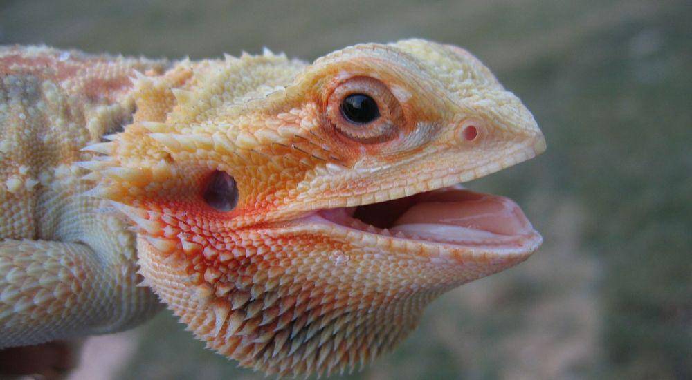 zoomed.com