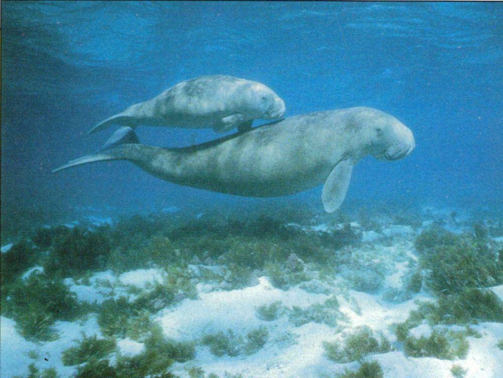 chezminette87.centerblog.net