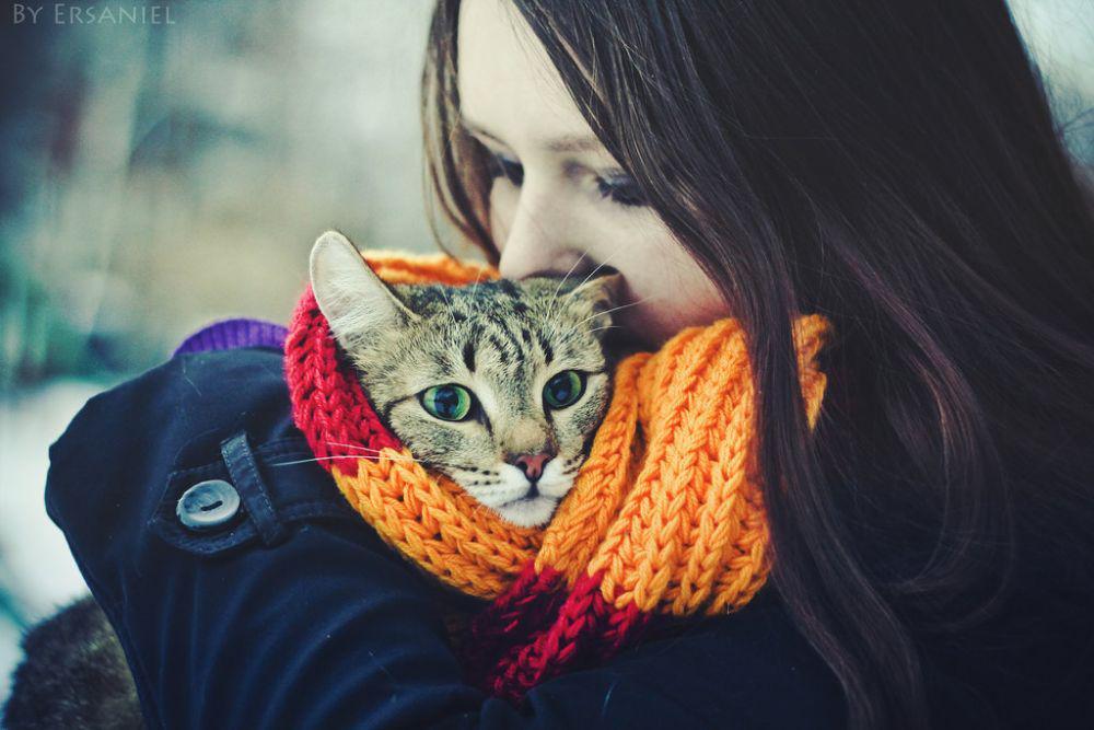 Hati-hati, 6 Penyakit Ini Bisa Ditularkan Kucing Pada Manusia