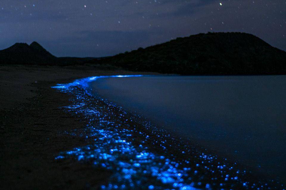 Pixabay.com/Alvaro_Bejarano