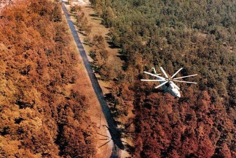 Mengenal Red Forest, Hutan yang Memerah oleh Radiasi Nuklir Chernobyl