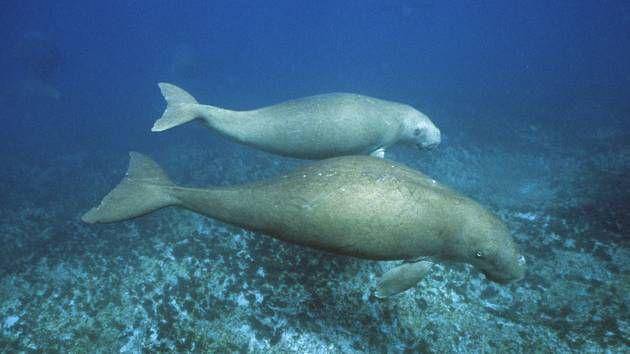 southernhighlandnews.com.au