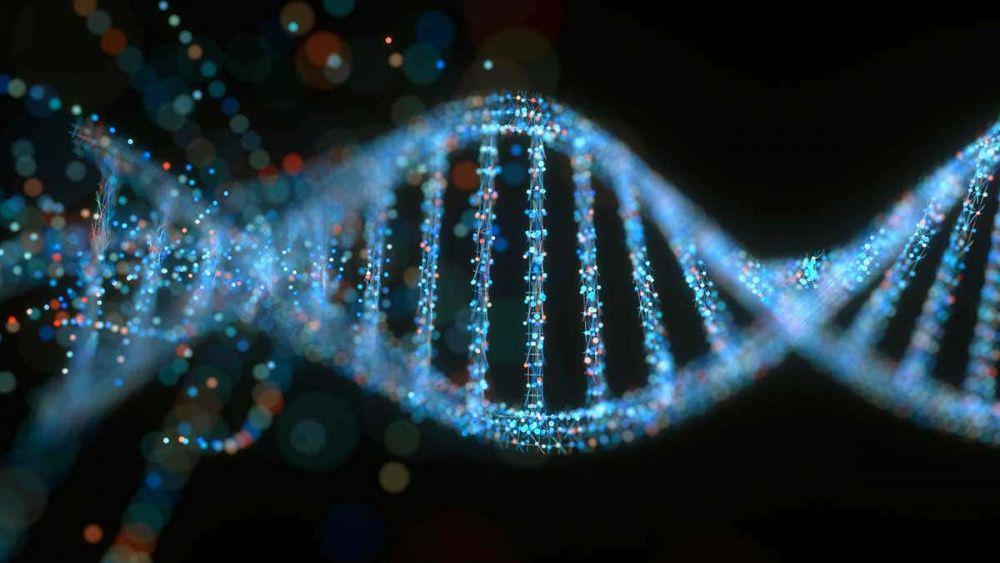 Simpanse Hingga Pisang, 7 Makhluk Hidup dengan DNA Mirip Manusia