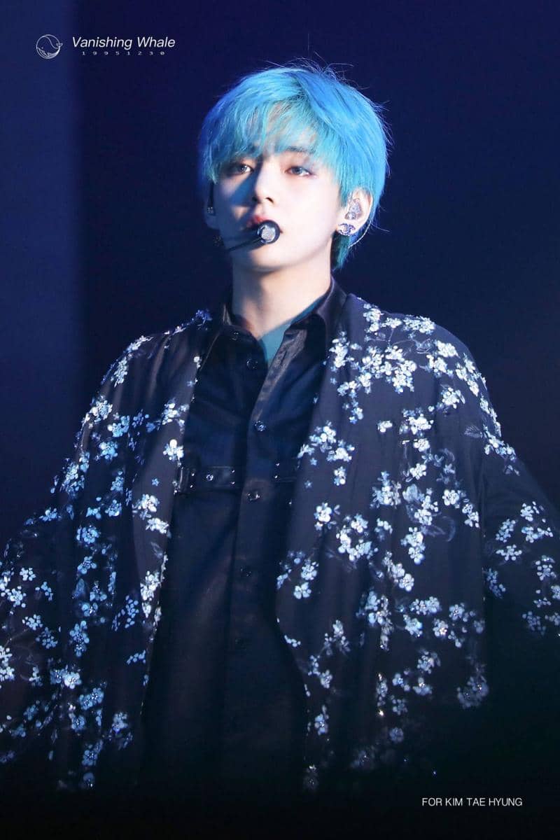 twitter.com/vanishingwhale