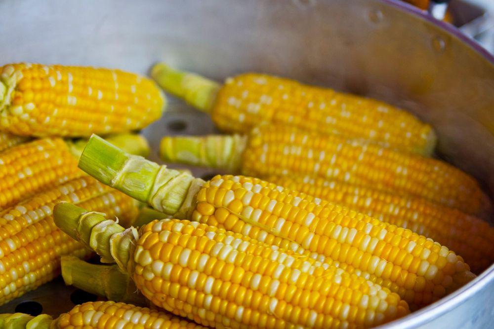 Bisa Jadi Menu Diet Sehat, ini 5 Manfaat Jagung untuk Kesehatan!
