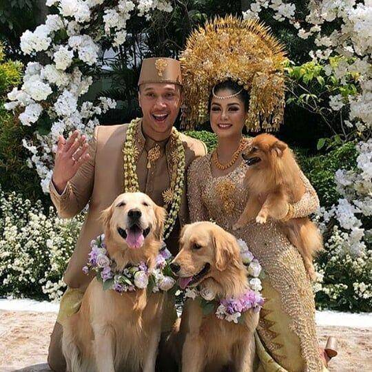 instagram.com/sahabatpaltakush