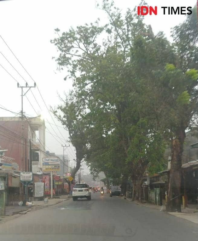 Palembang Berkabut Asap, Disdik Sumsel segera Revisi Jadwal Sekolah