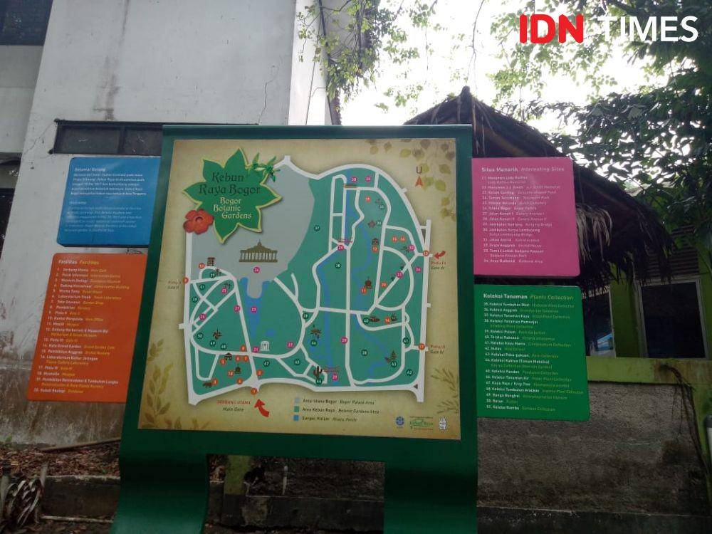 IDN Times/Lazuardi Putra