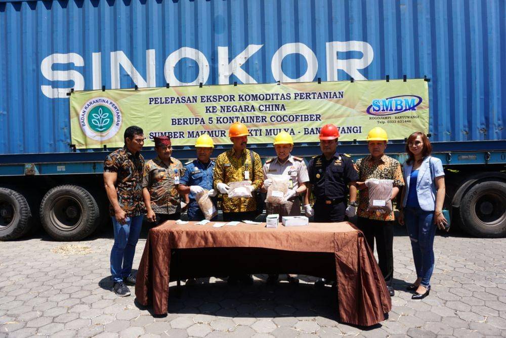 IDN Times/Mohamad Ulil Albab